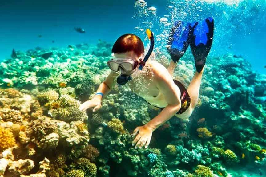 diving in musandam oman