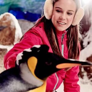 penguin friend encounter