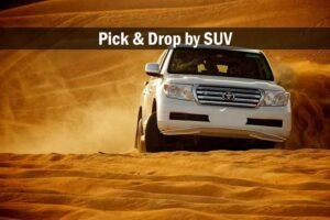 evening desert safari, dune bashing, camel riding, bbq dinner buffet