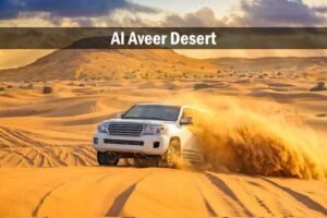 evening desert safari dubai with dinner buffet standard package