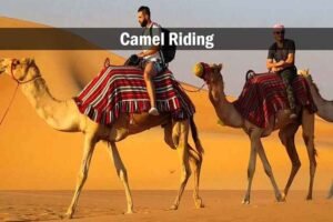 red dune desert safari dubai 4 star camp premium live bbq dinner