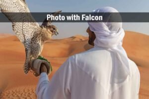 premium desert safari dubai with vip air conditioned majlis & atv